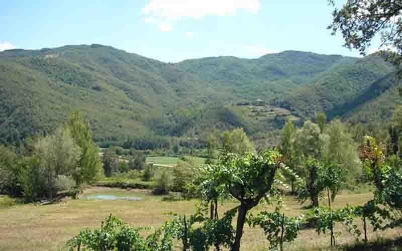 Villa Il Corniolo Morra Exteriér fotografie